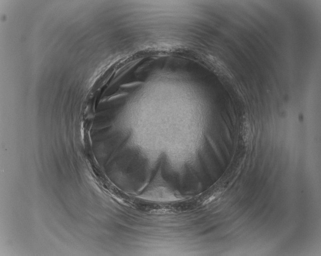 X0000053080544200508012009