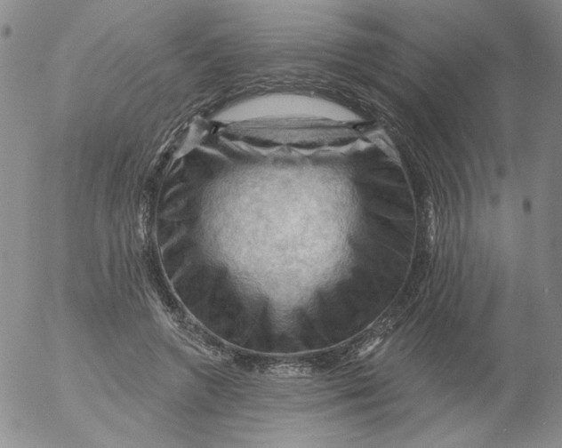 X0000053080546200508012009