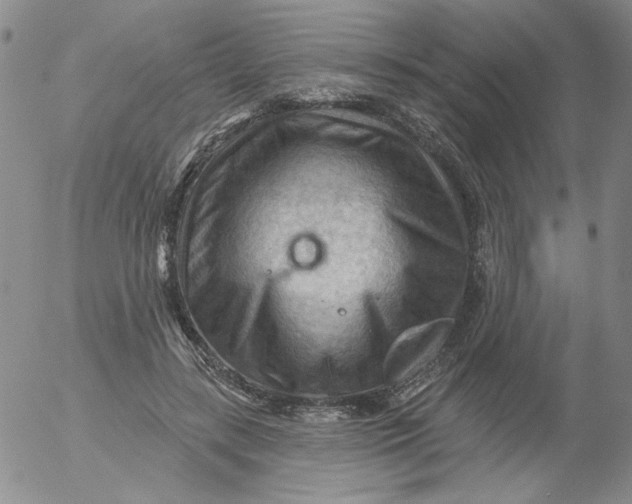 X0000053080547200508012009