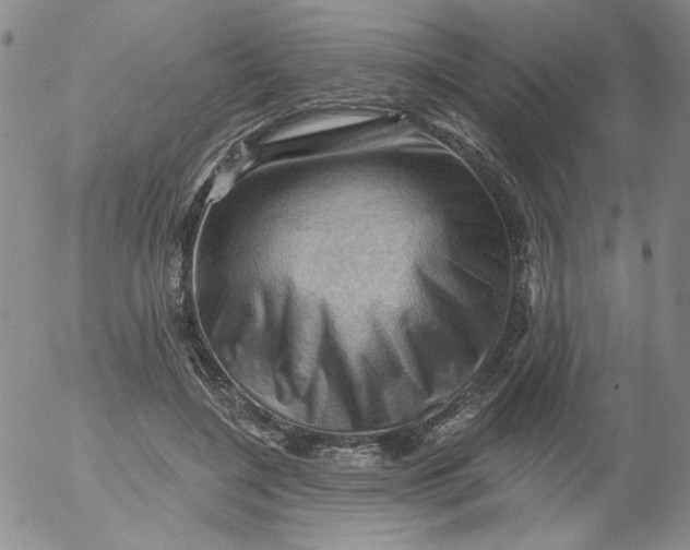 X0000053080548200508012009