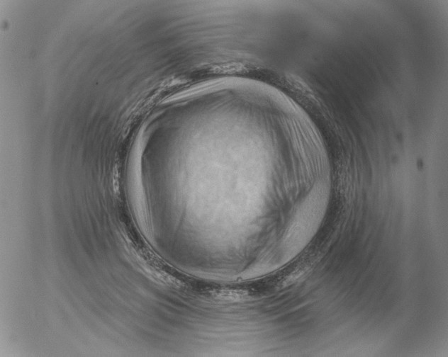 X0000053080549200508012009