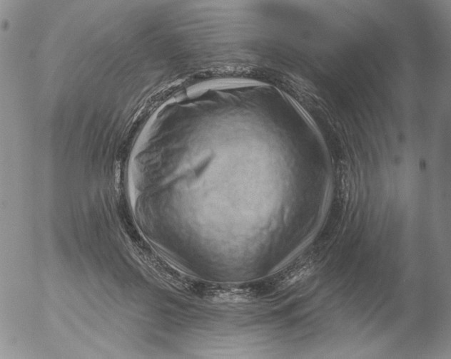 X0000053080550200508012009