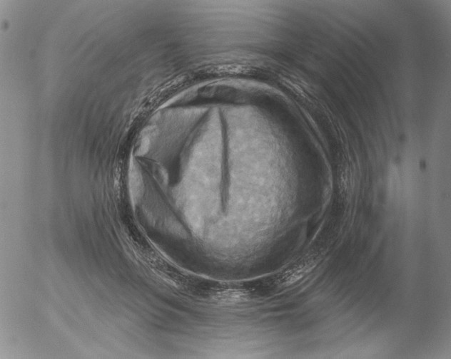 X0000053080551200508012009