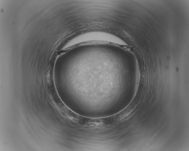 X0000053080552200508012009