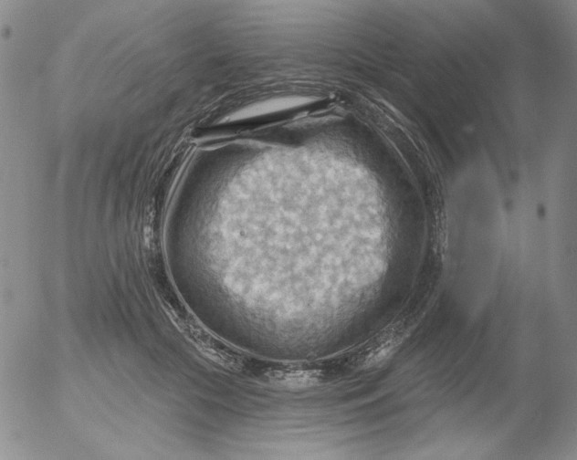 X0000053080553200508012009