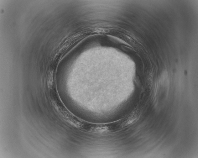 X0000053080554200508012009