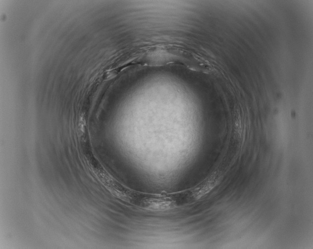 X0000053080555200508012009