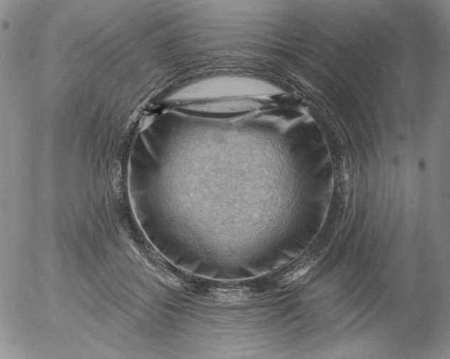 X0000053080556200508012009