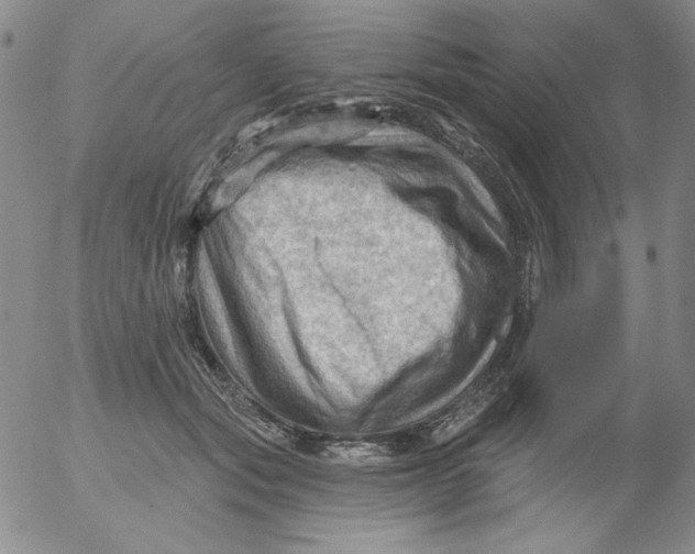 X0000053080557200508012009