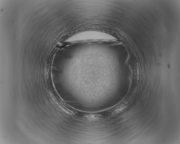 X0000053080558200508012009