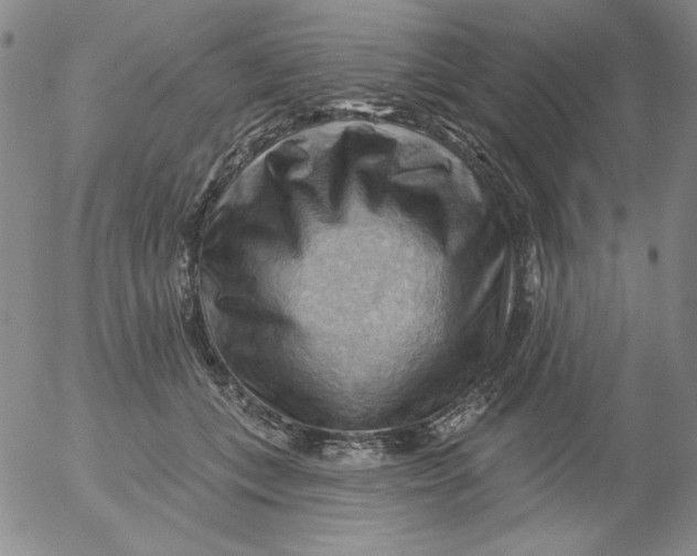 X0000053080559200508012009