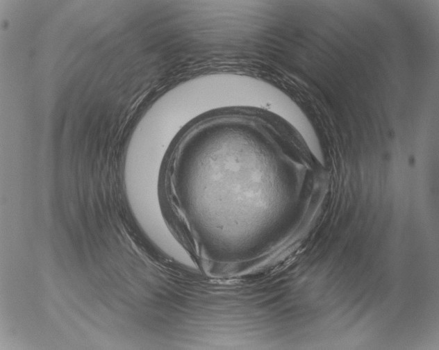 X0000053080560200508012009