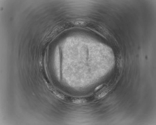 X0000053080561200508012009