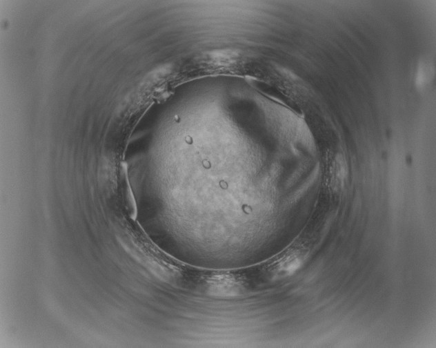 X0000053080562200508012009