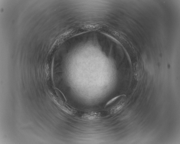 X0000053080563200508012009