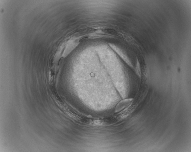 X0000053080565200508012009