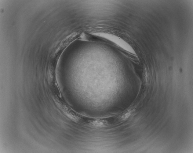 X0000053080566200508012009