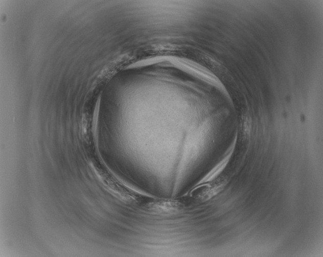 X0000053080567200508012009