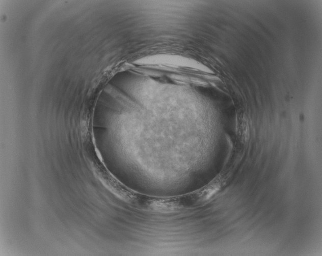 X0000053080568200508012009