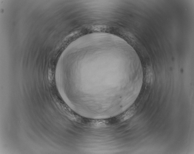 X0000053080569200508012009