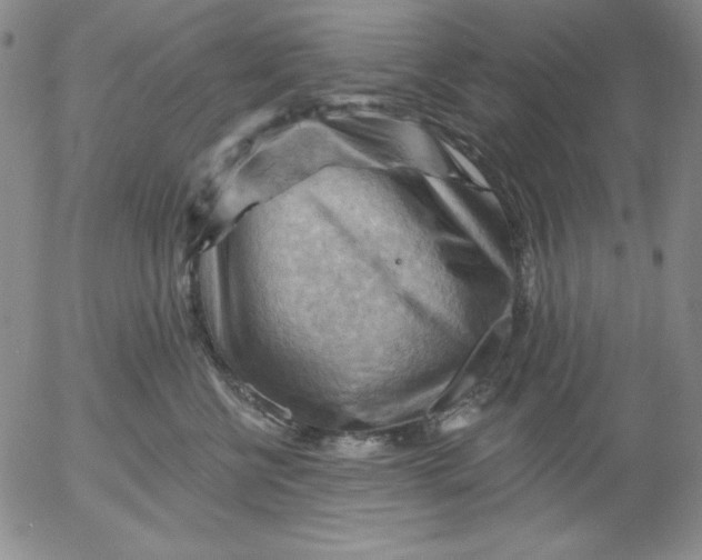 X0000053080570200508012009