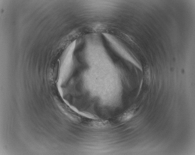 X0000053080571200508012009