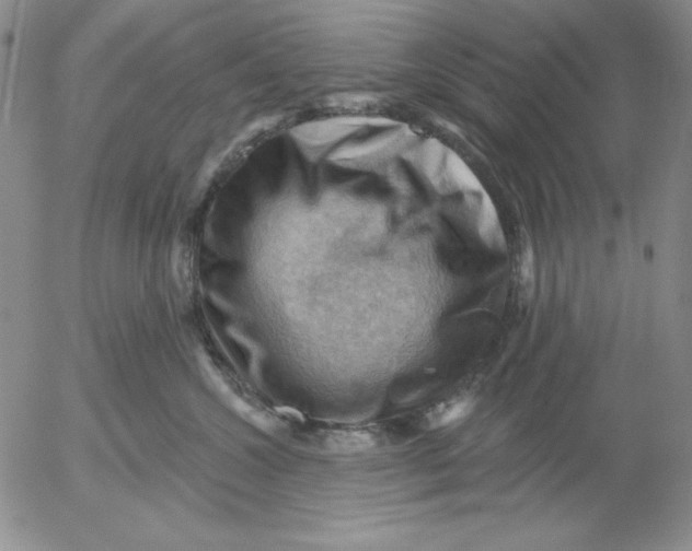 X0000053080572200508012009