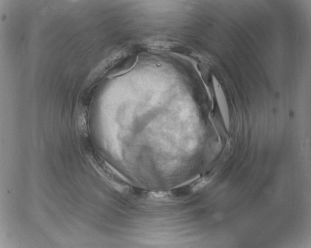 X0000053080573200508012009