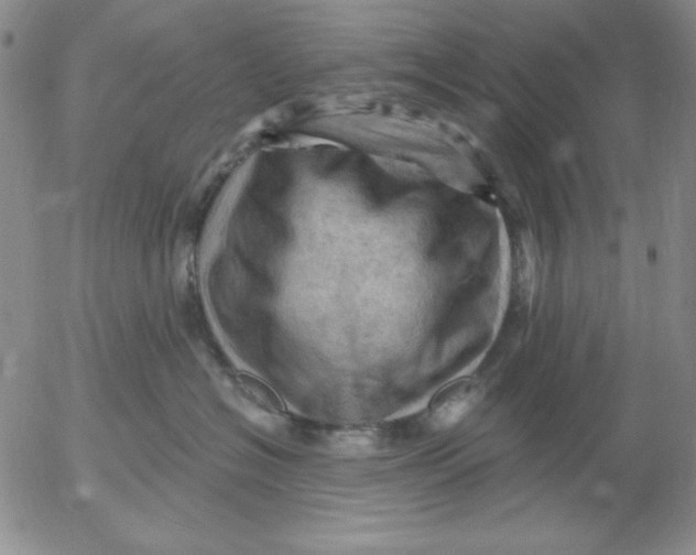 X0000053080574200508012009