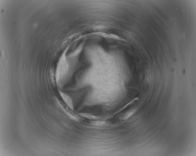 X0000053080575200508012009