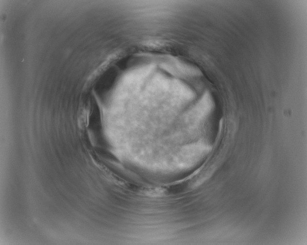 X0000053080576200508012009