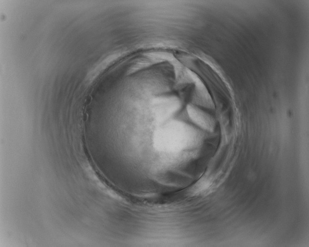 X0000053080577200508012008