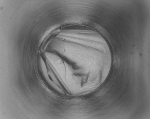 X0000053080578200508012008