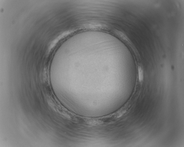 X0000053080579200508012008