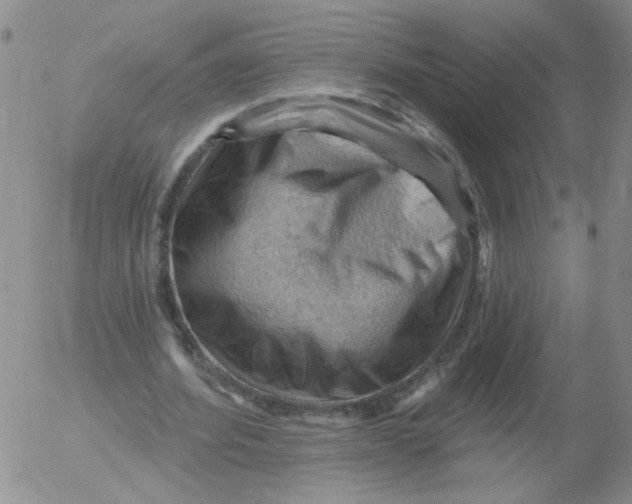 X0000053080580200508012008