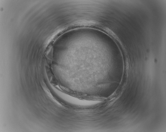 X0000053080581200508012008