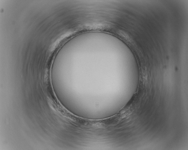 X0000053080583200508012008