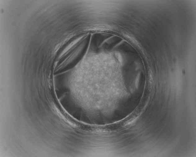 X0000053080585200508012008