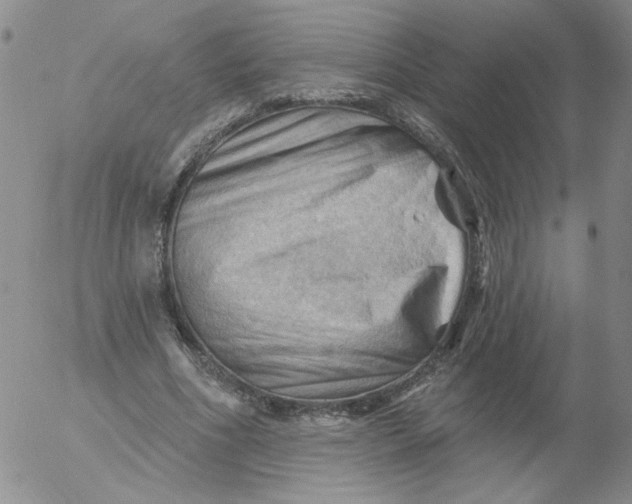 X0000053080586200508012008