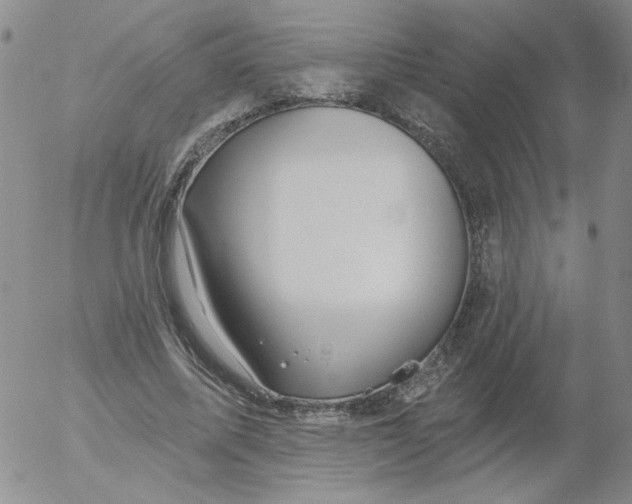 X0000053080587200508012008