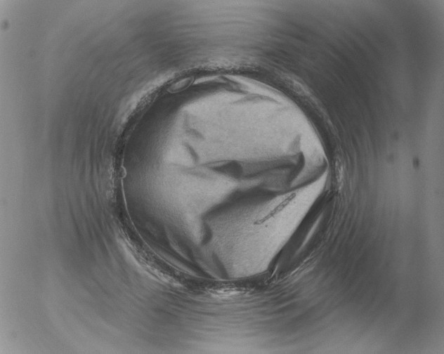 X0000053080588200508012008