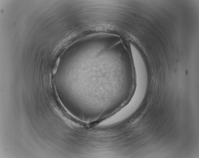 X0000053080589200508012008