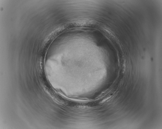 X0000053080590200508012008