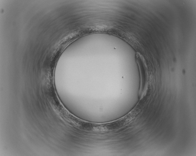 X0000053080591200508012008