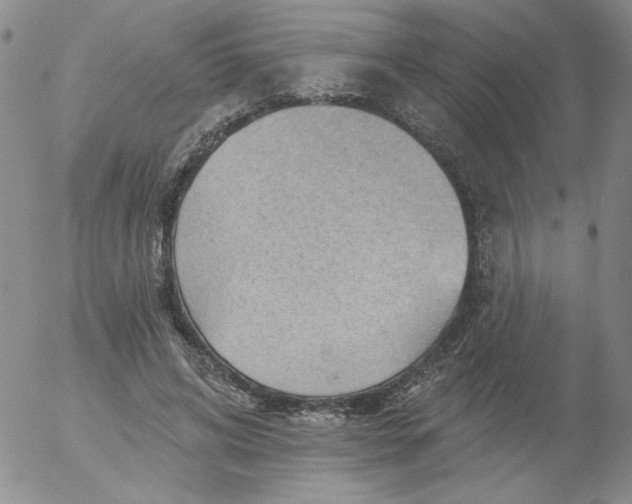 X0000053080592200508012008