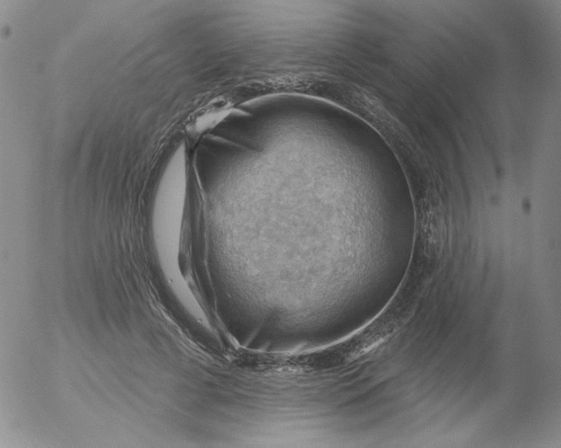 X0000053080593200508012008