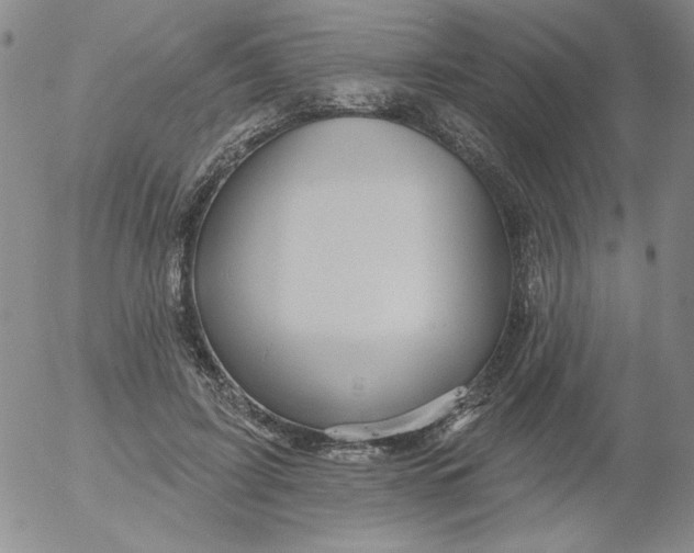 X0000053080595200508012008