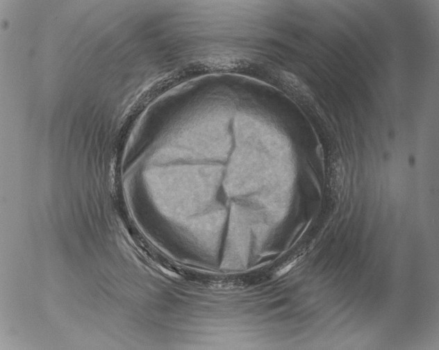 X0000053080596200508012008