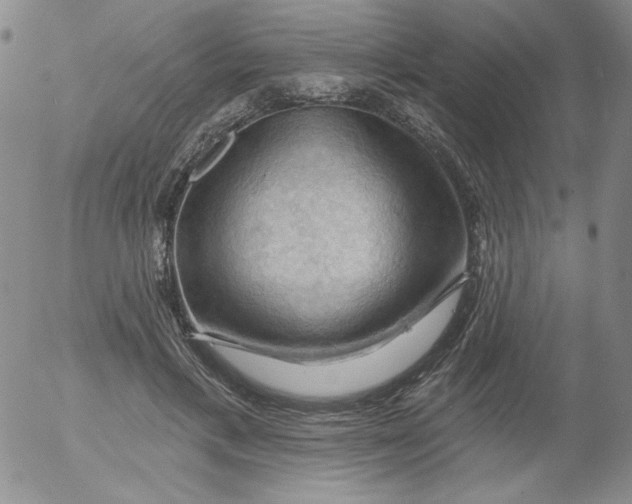 X0000053080597200508012008