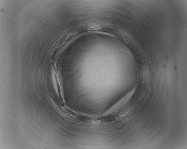 X0000053080598200508012008